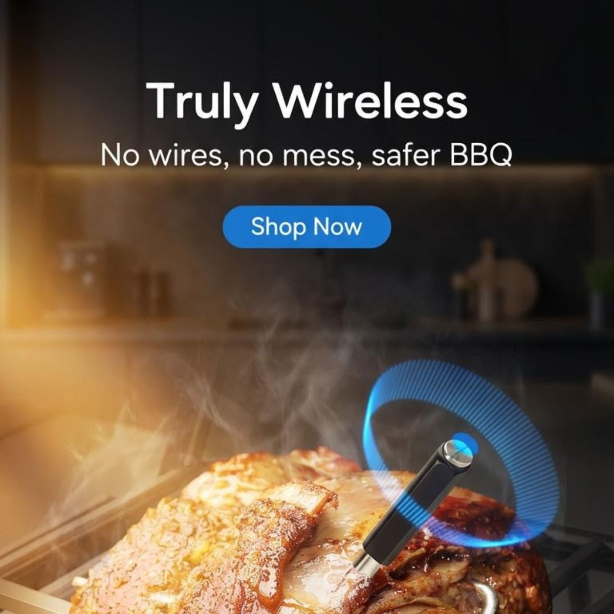 TempPilot™ Smart Meat Thermometer