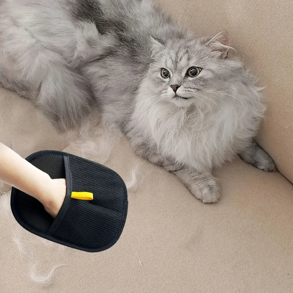 Fluffy gray cat sitting on a beige surface next to a black slipper with a yellow tag.
