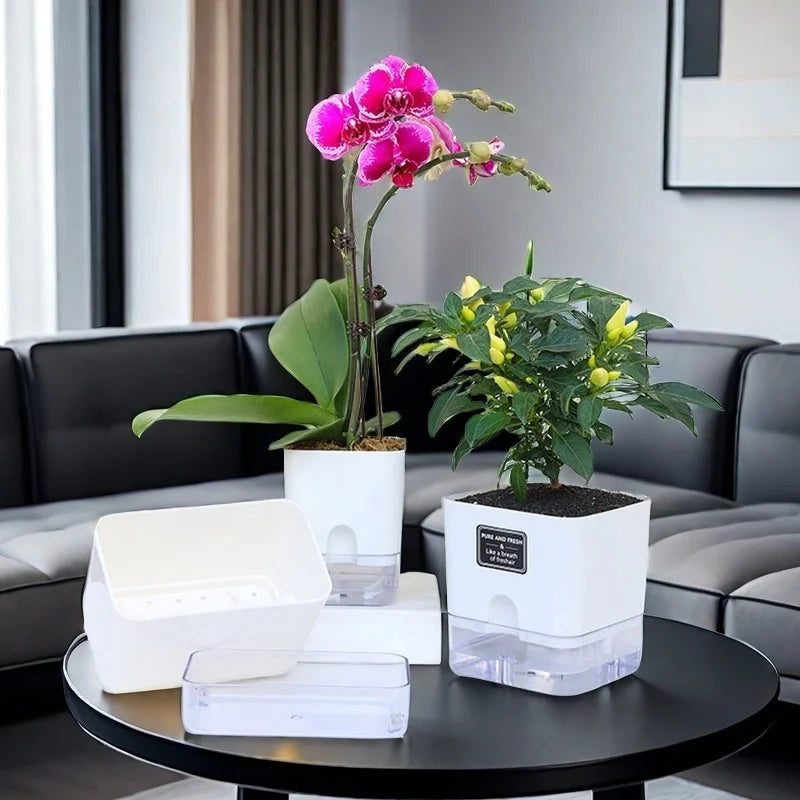 Two potted plants on a round black table in a living room setting.